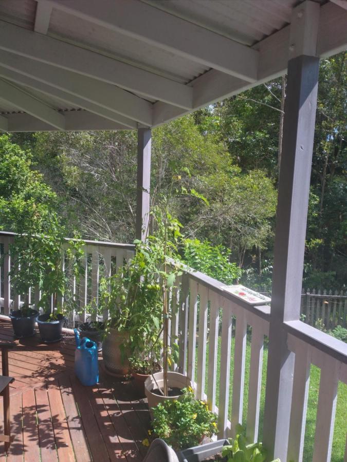 Near To Everything Yet In A Rainforest Setting Tewantin Exterior foto